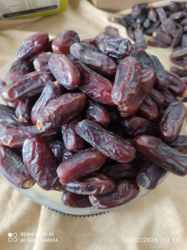 خرمای خشک با کیفیت عالی 🌴 تهیهشده از بهترین خرماها، کاملاً طبیعی، مغذی و ماندگار. انتخابی سالم برای خانوادهای که به تغذیه اهمیت میدهد.
