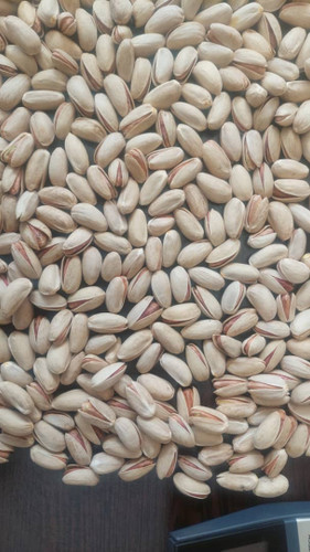 پسته تازه اکبری