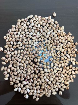 پسته تازه و باکیفیت با دانههای درشت و طعم طبیعی، تهیهشده از بهترین باغات ایران. مناسب مصرف روزانه، پذیرایی و استفاده در انواع آجیل و شیرینیپزی.