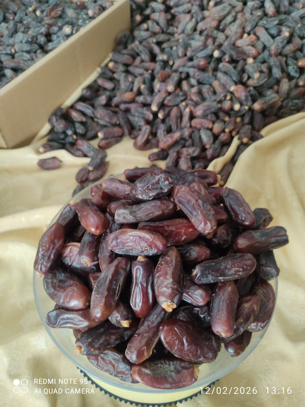 خرما تازه خوشمزه باخواص درمانی و کیفیت بالا خرما خشک وتازه خرما خوشمزه خرمای ایرانی